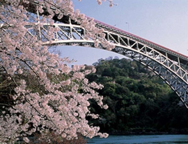 【小倉・黒崎・引野口発】西海国立公園制定70周年記念企画 桜の名所西海橋と世界で最も美しい湾・九十九島を遊覧船で航海 日帰り3